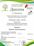 1 место в областном конкурсе "Педагог года" 2019 г.